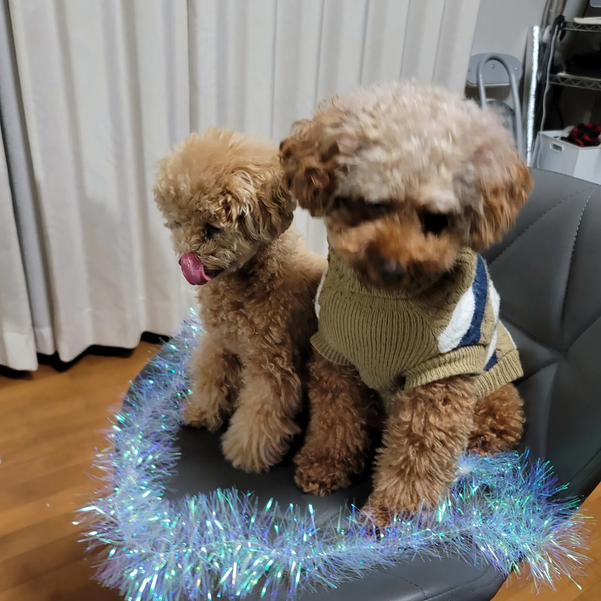 【ペットリフォーム特集】 ワンちゃんも快適に!ペットと暮らす家づくりのコツ